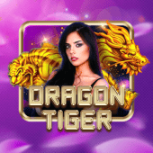 Dragon Tiger km88 apps live casino